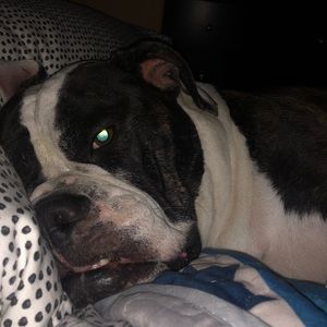 Meet your Posher, Cyndy